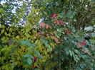 DSCN2563