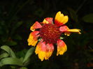 DSCN2565