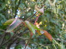DSCN2566