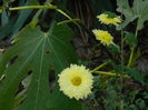 DSCN2589