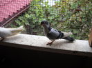 DSCN0060