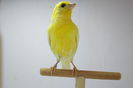 IMG_0632 - Copy