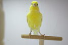 IMG_0635 - Copy