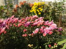 DSC00985
