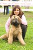 Briard Celine