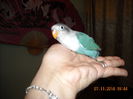 DSCN0066