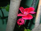 DSCN2665