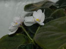 DSCN2667