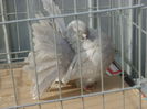 PICT0971