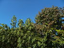 DSCN2775
