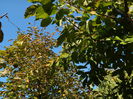 DSCN2834