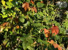 DSCN2836