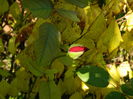 DSCN2838
