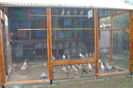 DSC02875