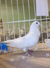 DSCN0824