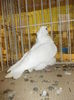 DSCN0848