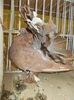 DSCN0855