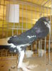 DSCN0857
