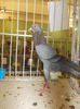 DSCN0860
