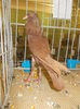 DSCN0864