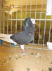 DSCN0865