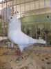 DSCN0867