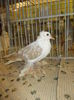 DSCN0884