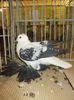 DSCN0886