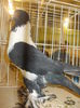DSCN0896