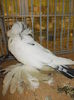 DSCN0900