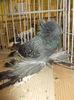 DSCN0902
