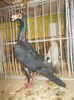 DSCN0915