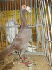 DSCN0916