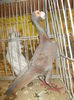 DSCN0917