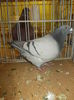 DSCN0924