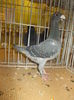 DSCN0927
