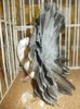 DSCN0947