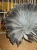 DSCN0948