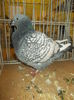 DSCN0952