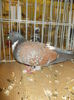 DSCN0958