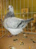 DSCN0960