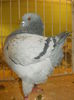 DSCN0962