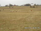 SAM_0129