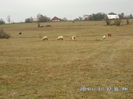 SAM_0128