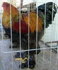PICT0062