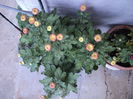 FOTO 2014 146