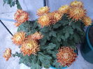 FOTO 2014 212