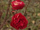 DSC01059