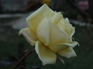 DSC01139