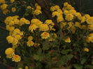 DSC01044